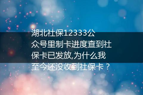 湖北社保12333公众号里制卡进度查到社保卡已发放,为什么我至今还没收到社保卡？