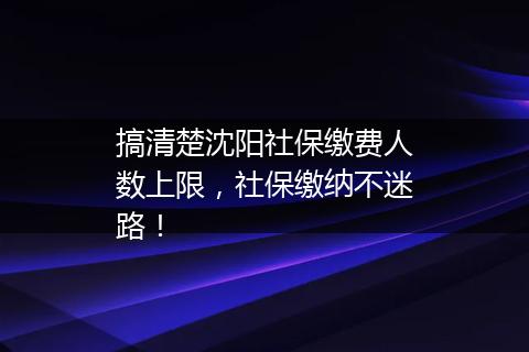 搞清楚沈阳社保缴费人数上限，社保缴纳不迷路！