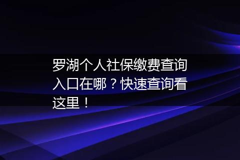 罗湖个人社保缴费查询入口在哪？快速查询看这里！