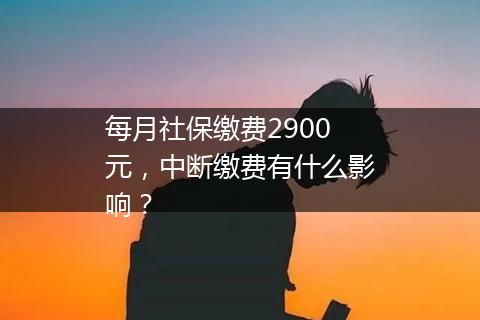 每月社保缴费2900元，中断缴费有什么影响？