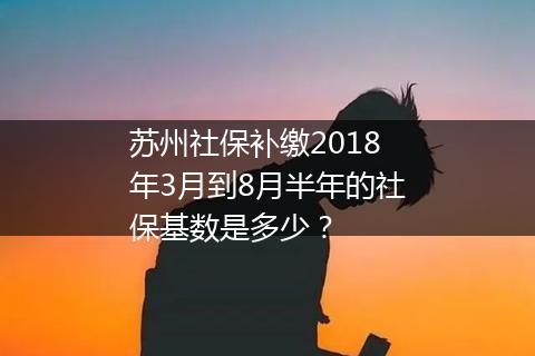 苏州社保补缴2018年3月到8月半年的社保基数是多少？