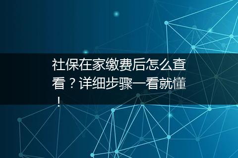 社保在家缴费后怎么查看？详细步骤一看就懂！