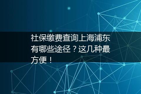 社保缴费查询上海浦东有哪些途径？这几种最方便！