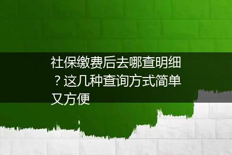 社保缴费后去哪查明细？这几种查询方式简单又方便