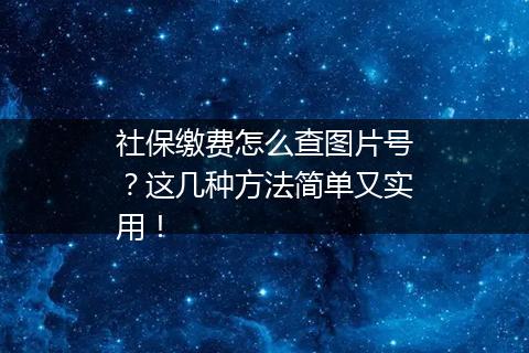 社保缴费怎么查图片号？这几种方法简单又实用！