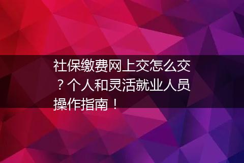 社保缴费网上交怎么交？个人和灵活就业人员操作指南！