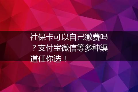 社保卡可以自己缴费吗？支付宝微信等多种渠道任你选！