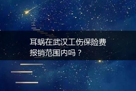 耳蜗在武汉工伤保险费报销范围内吗？