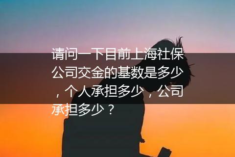 请问一下目前上海社保公司交金的基数是多少，个人承担多少，公司承担多少？