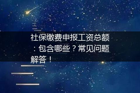 社保缴费申报工资总额：包含哪些？常见问题解答！