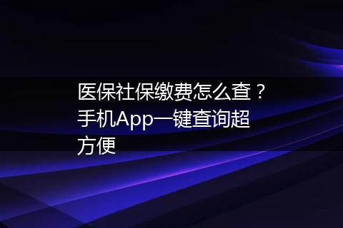 医保社保缴费怎么查？手机App一键查询超方便