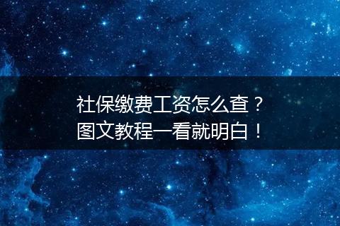 社保缴费工资怎么查？图文教程一看就明白！