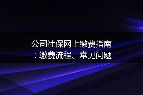 公司社保网上缴费指南：缴费流程、常见问题