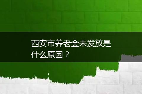 西安市养老金未发放是什么原因？