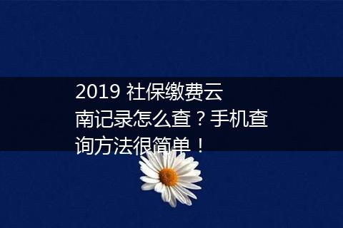 2019 社保缴费云南记录怎么查？手机查询方法很简单！