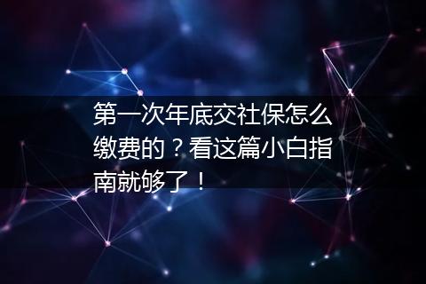 第一次年底交社保怎么缴费的？看这篇小白指南就够了！