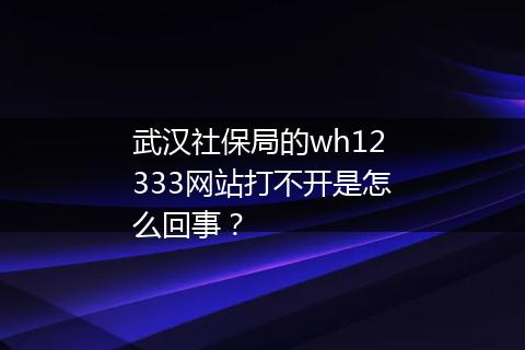 武汉社保局的wh12333网站打不开是怎么回事？