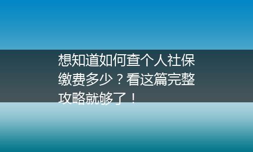 想知道如何查个人社保缴费多少？看这篇完整攻略就够了！
