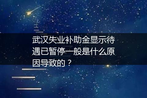 武汉失业补助金显示待遇已暂停一般是什么原因导致的？