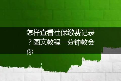 怎样查看社保缴费记录？图文教程一分钟教会你