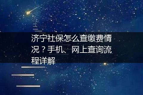 济宁社保怎么查缴费情况？手机、网上查询流程详解