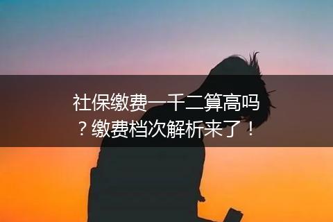 社保缴费一千二算高吗？缴费档次解析来了！