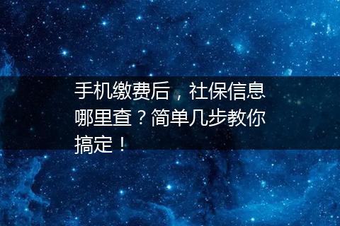 手机缴费后，社保信息哪里查？简单几步教你搞定！