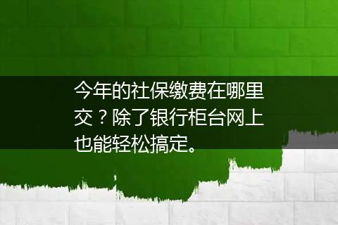 今年的社保缴费在哪里交？除了银行柜台网上也能轻松搞定。