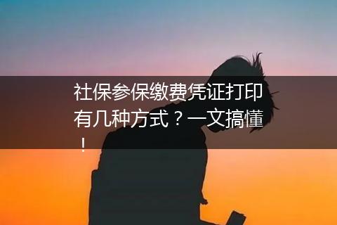 社保参保缴费凭证打印有几种方式？一文搞懂！