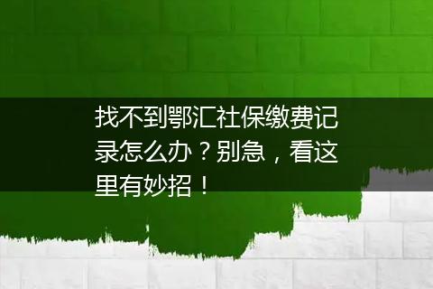 找不到鄂汇社保缴费记录怎么办？别急，看这里有妙招！