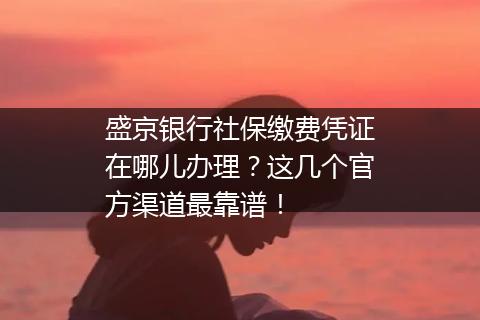 盛京银行社保缴费凭证在哪儿办理？这几个官方渠道最靠谱！