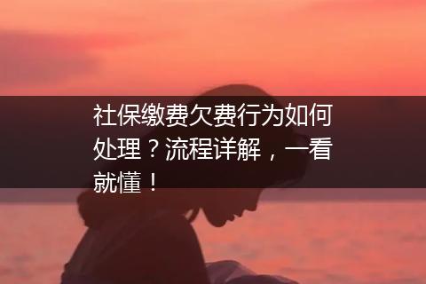 社保缴费欠费行为如何处理？流程详解，一看就懂！