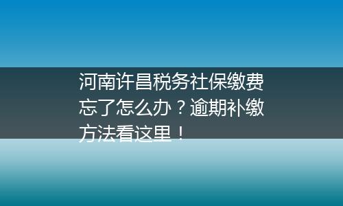 河南许昌税务社保缴费忘了怎么办？逾期补缴方法看这里！
