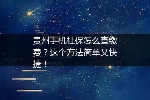 贵州手机社保怎么查缴费？这个方法简单又快捷！