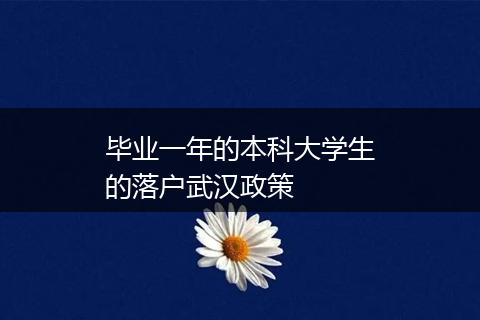 毕业一年的本科大学生的落户武汉政策