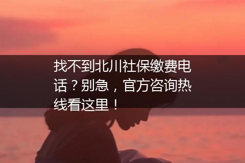 找不到北川社保缴费电话？别急，官方咨询热线看这里！
