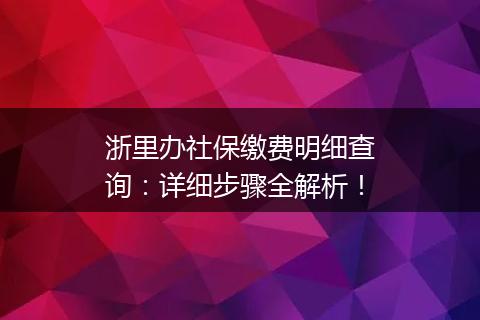 浙里办社保缴费明细查询：详细步骤全解析！