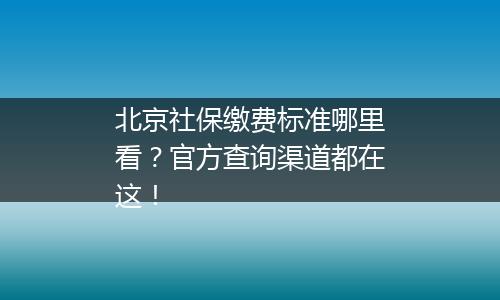 北京社保缴费标准哪里看？官方查询渠道都在这！