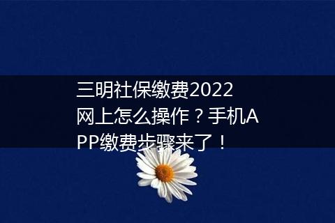 三明社保缴费2022网上怎么操作？手机APP缴费步骤来了！