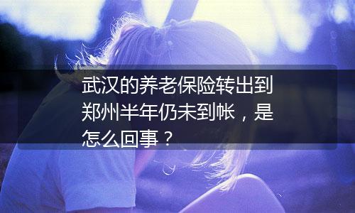 武汉的养老保险转出到郑州半年仍未到帐，是怎么回事？