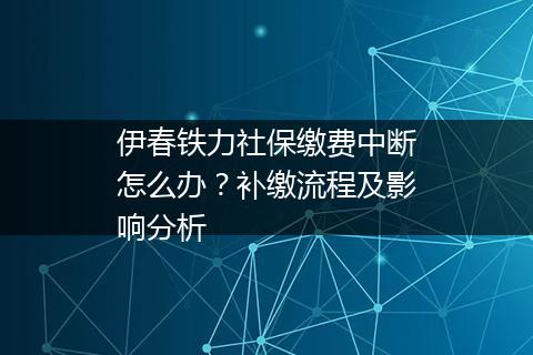 伊春铁力社保缴费中断怎么办？补缴流程及影响分析