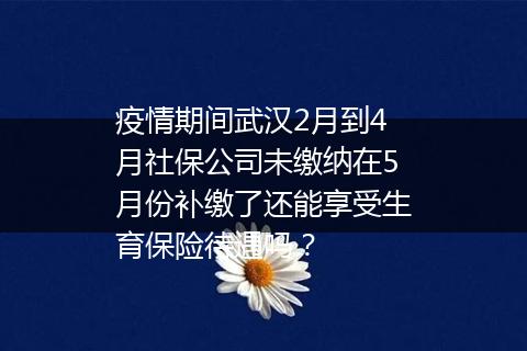疫情期间武汉2月到4月社保公司未缴纳在5月份补缴了还能享受生育保险待遇吗？