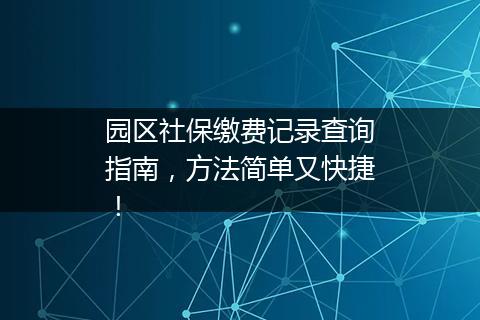 园区社保缴费记录查询指南，方法简单又快捷！