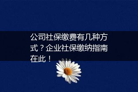 公司社保缴费有几种方式？企业社保缴纳指南在此！