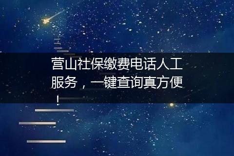 营山社保缴费电话人工服务，一键查询真方便！
