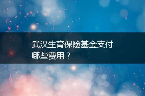 武汉生育保险基金支付哪些费用？
