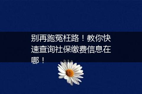 别再跑冤枉路！教你快速查询社保缴费信息在哪！