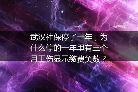 武汉社保停了一年，为什么停的一年里有三个月工伤显示缴费负数？