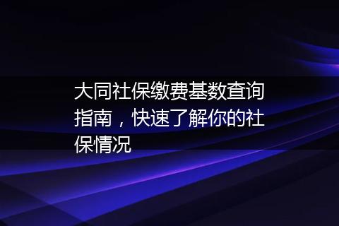 大同社保缴费基数查询指南，快速了解你的社保情况