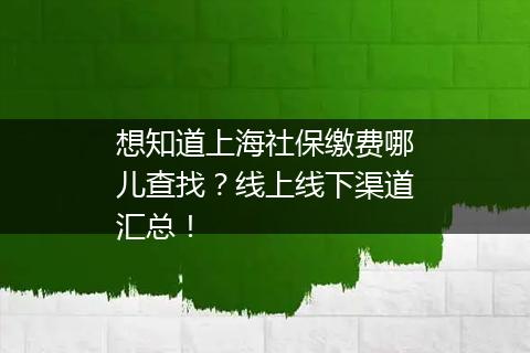 想知道上海社保缴费哪儿查找？线上线下渠道汇总！